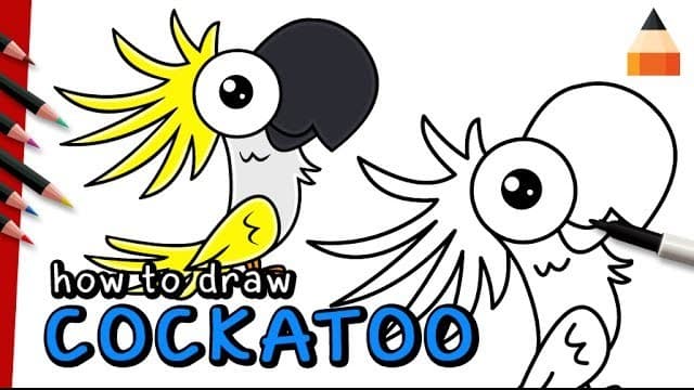 Movie Poster: How To Draw a Cockatoo